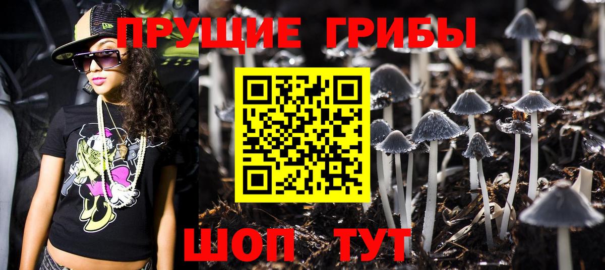 Псилоцибиновые грибы мицелий Гусиноозёрск