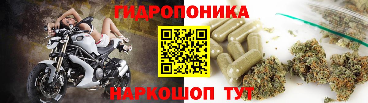 Гусиноозёрск  Конопля план  Шишки марихуана OG Kush  Вход с VPN  Марихуана семена  Бошки марихуана MAZAR 